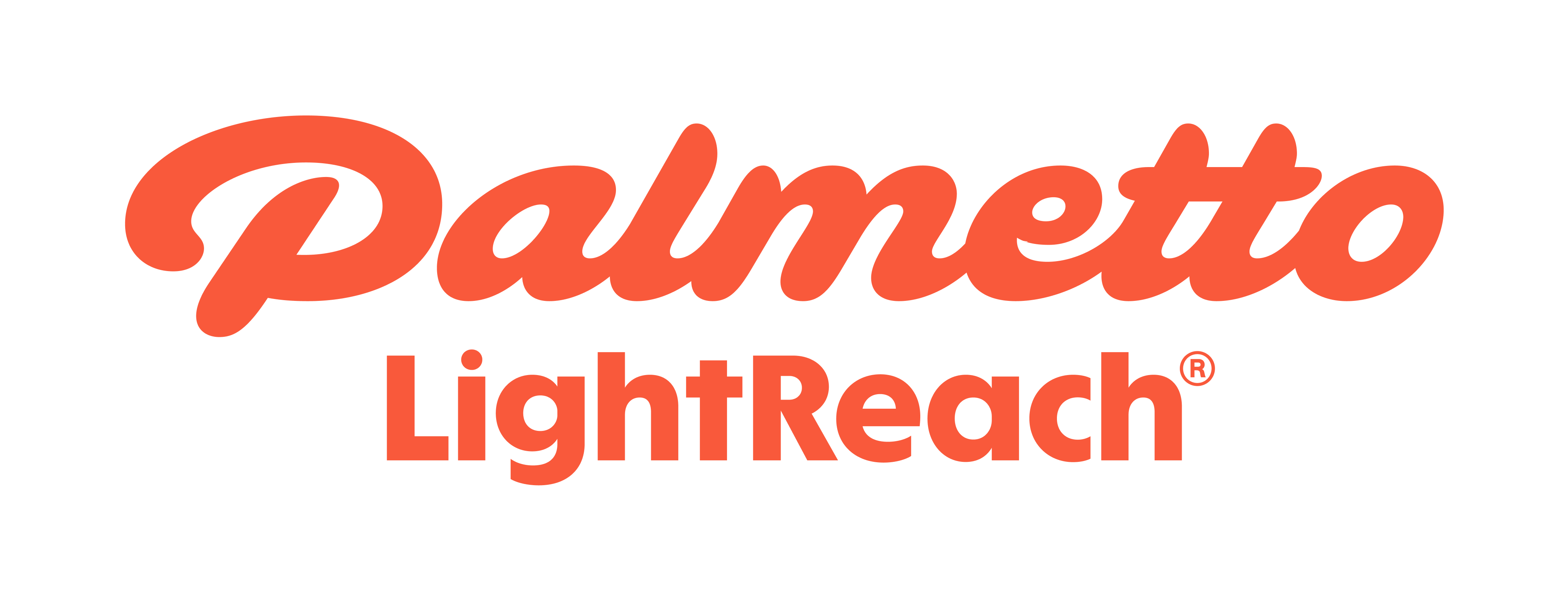 Palmetto logo