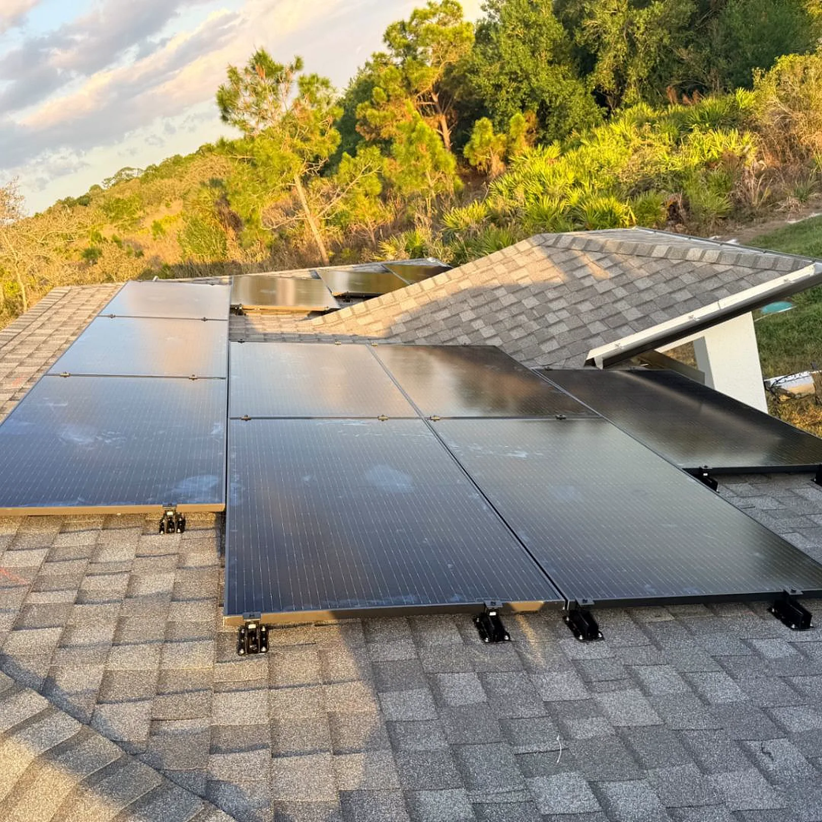 A rooftop array in late afternoon light, the panels reflecting a Florida treeline.